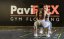 Podlaha PAVIFLEX Fitness ECO, 100 x 100 cm, 5 mm - SPECIAL COLOR