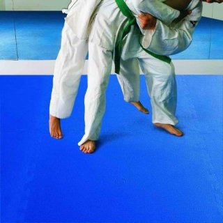 Pavigym TATAMI 