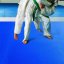 Pavigym TATAMI 